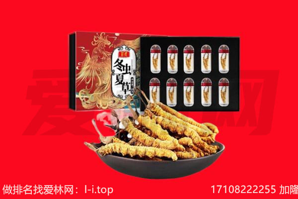 磴口县回收虫草.jpg